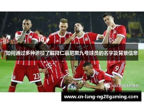 如何通过多种途径了解拜仁慕尼黑九号球员的名字及背景信息