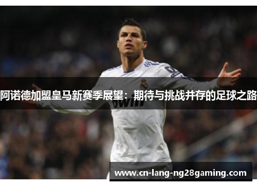 阿诺德加盟皇马新赛季展望：期待与挑战并存的足球之路