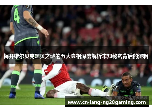 揭开维尔贝克黑贝之谜的五大真相深度解析未知秘密背后的逻辑