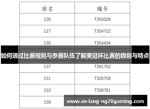 如何通过比赛规则与参赛队伍了解美冠杯比赛的级别与特点