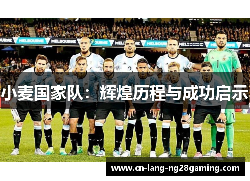 小麦国家队：辉煌历程与成功启示