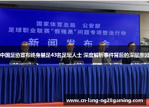 中国足协宣布终身禁足43名足坛人士 深度解析事件背后的深层原因 中国足协宣布终身禁足43名足坛人士 深度解析事件背后的深层原因